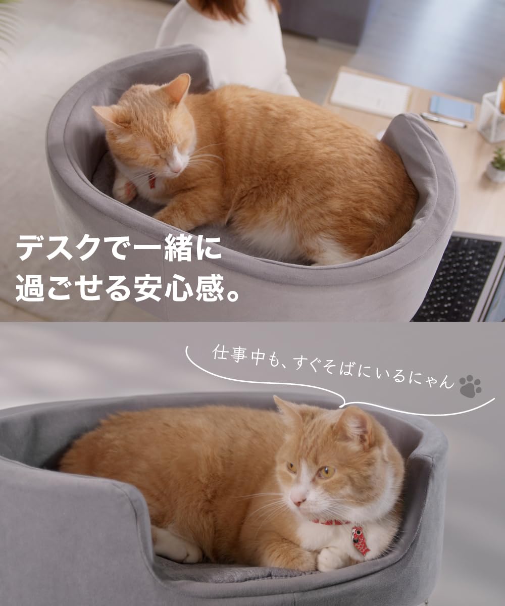LOE(ロエ) 【日本企画】 新発想 キャットアーム 猫ベッド｜省スペース Amazon.co.jp: LOE(ロエ) 【日本企画】 猫ベッド 新発想 デュアル